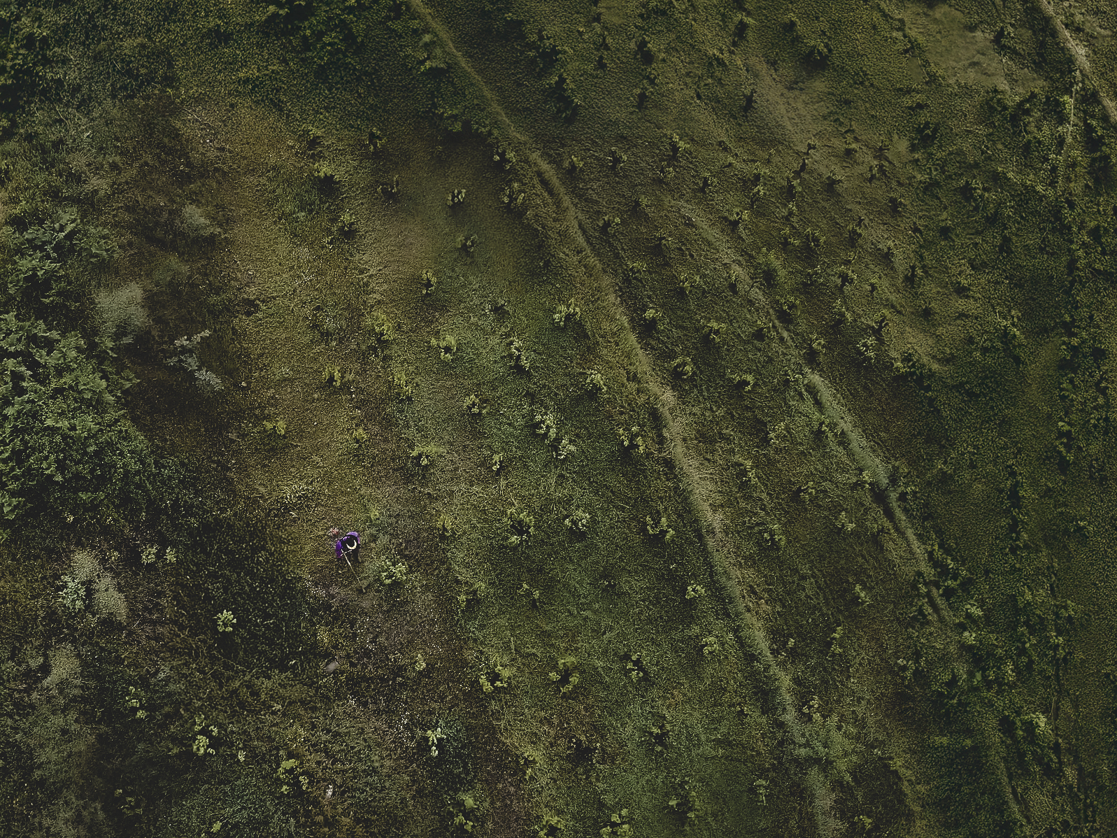 vue du ciel du parcelle du domaine indiano, charly gotchac et maca nogara, sierra de gredos, D.O.P Cebreros, Espagne