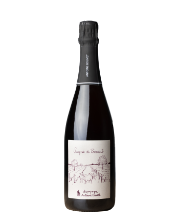 Bouteille de champagne rosé de la cuvée Saignée de Bisseuil d’Antoine Bouvet