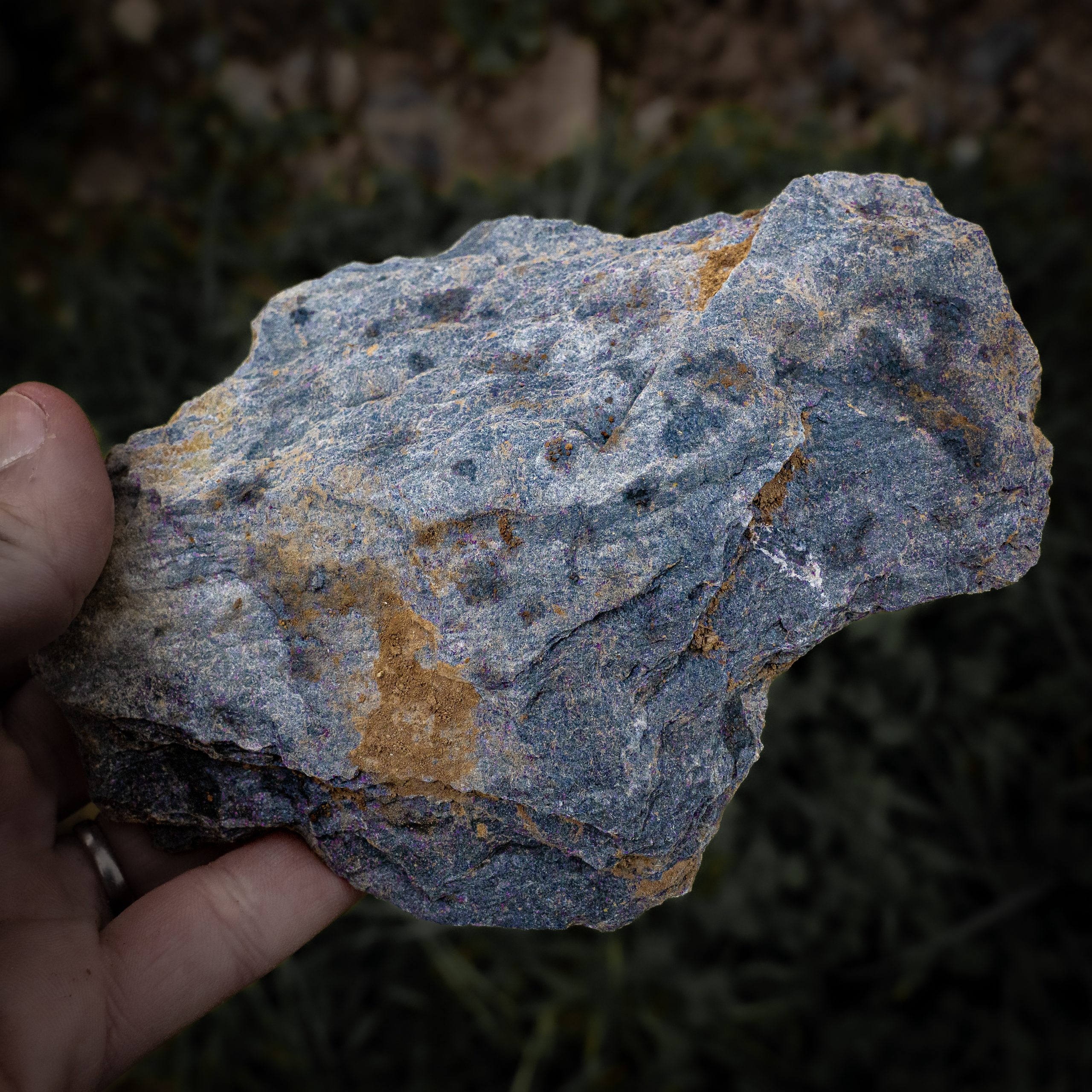 Gros plan sur une pierre d’Ampélite, un roche schisteuse qui signifie littéralement la Pierre de la Vigne, dans la parcelle de Battitt Ybargaray du domaine Xubialdea en appellation Irouléguy