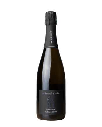 Bouteille de champagne de la cuvée Mont de la vallée blanc d’Antoine Bouvet. Blanc de noirs, non dosé. Champagne sans sulfite