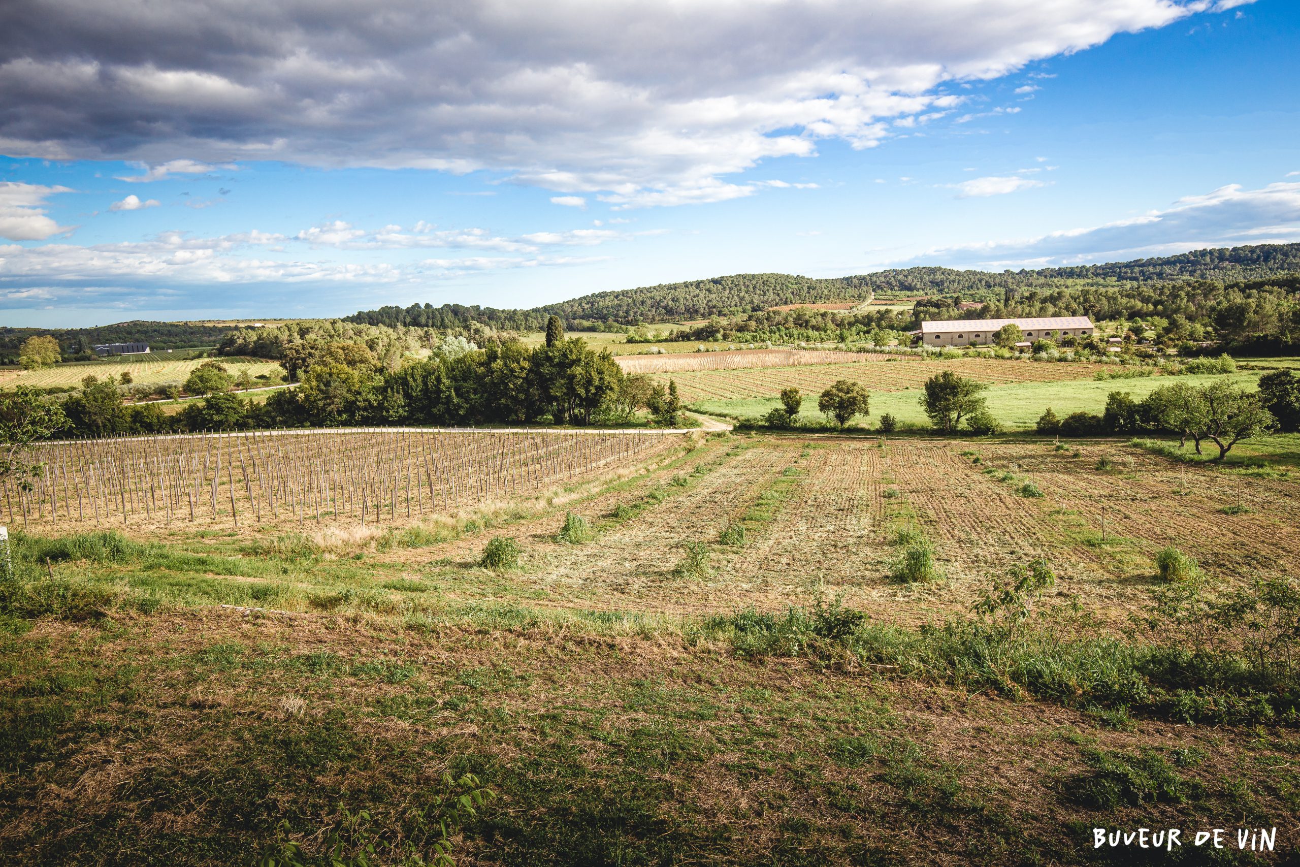 IMG_4496 Mas de perié, projet d’antoine clavel, a Assas, en appellation Pic SAint Loup