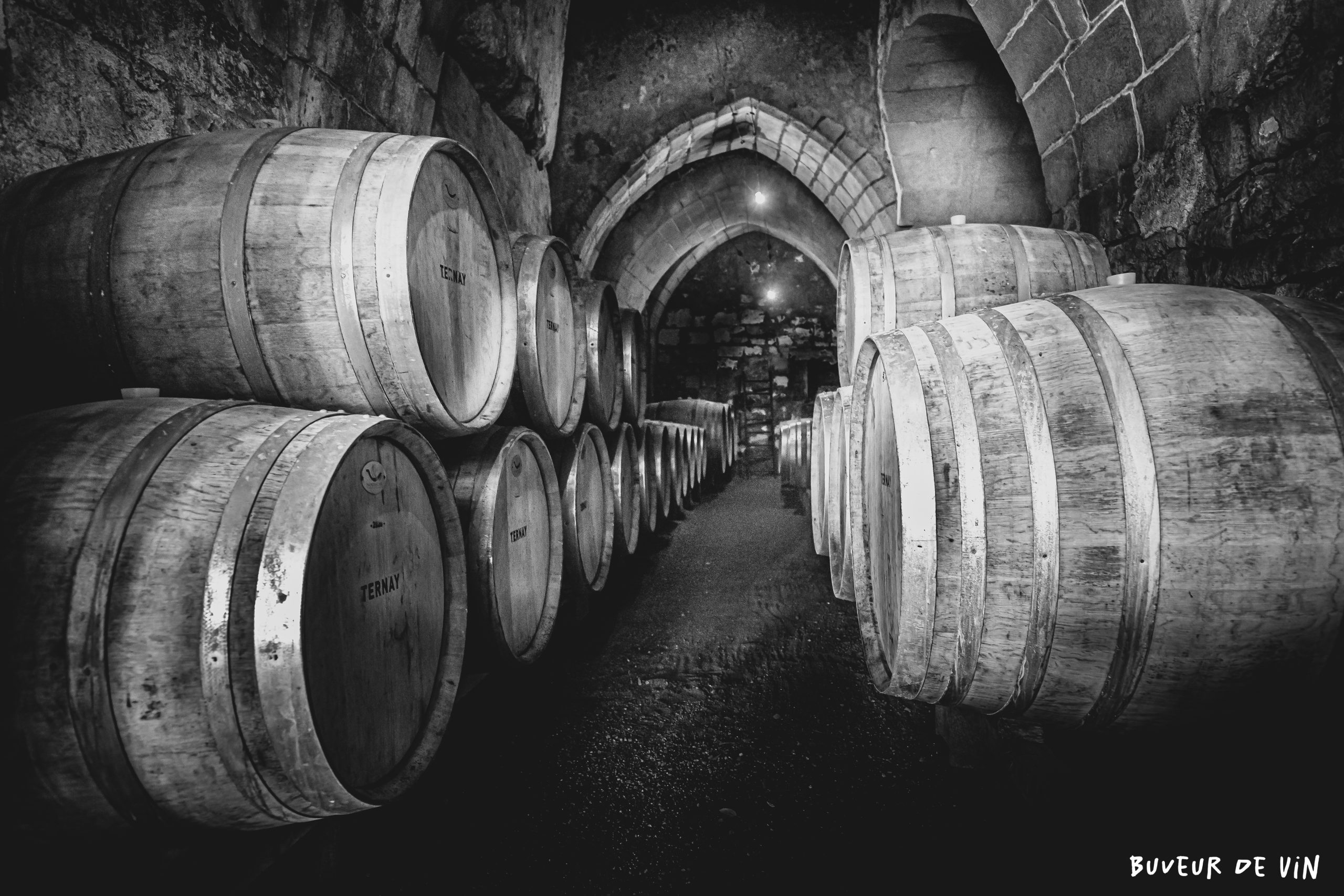 cave_durandiere_BW Cave du Clos Durandiere, Etienne Bodet, vigneron en appellation Saumur, noir et blanc