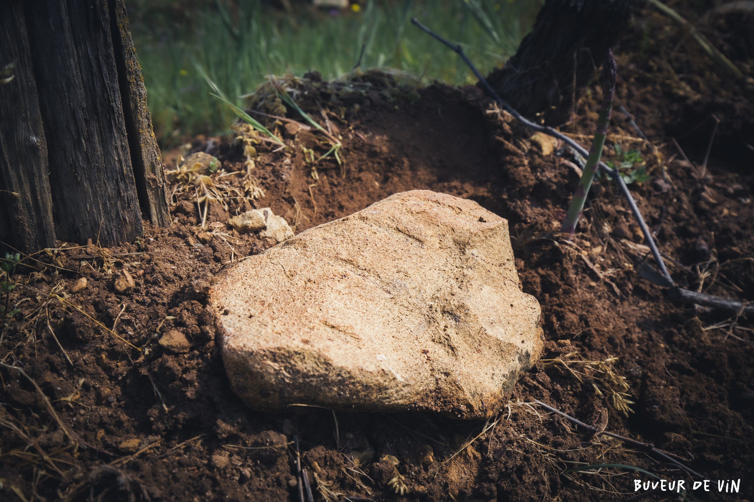 De gros morceaux du substrat calcaire ressortent par endroit, domaine claire et florent bejon