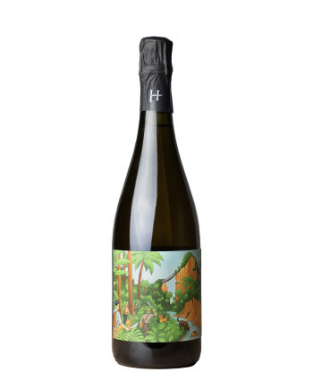 Bouteille de champagne de Romain Henin, dans sa nouvelle structure La Bulle Libre, dans la cuvée Odyssée Pétillante chapitre 2. Champagne totalement sans intrant ni sulfite