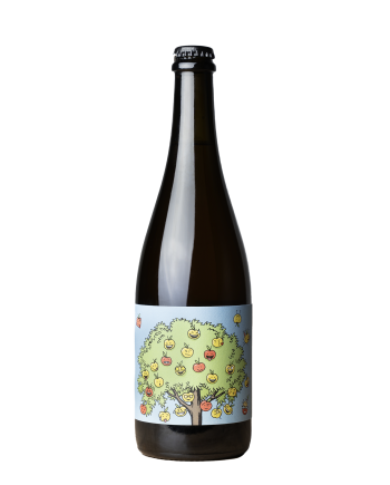 Bouteille de cidre de Romain Henin, cuvée Frère de Pomme, vigneron nature en champagne, odyssée libre et gamin du terroir