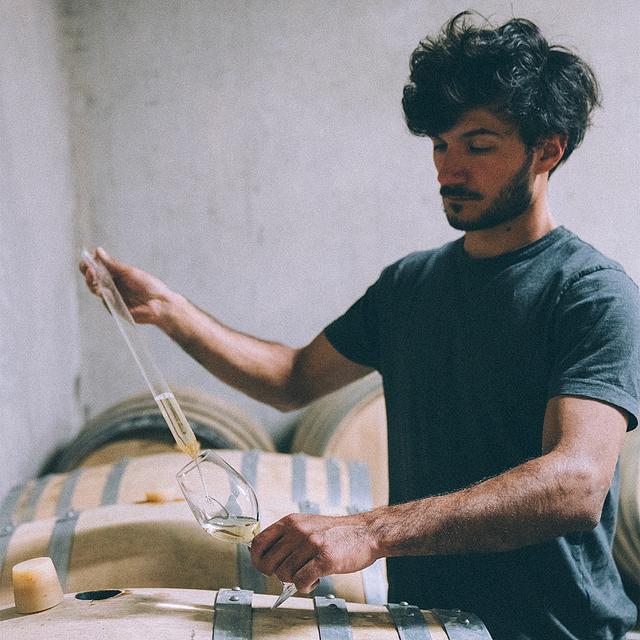 portrait de ludovic payen, vigneron au domaine payen