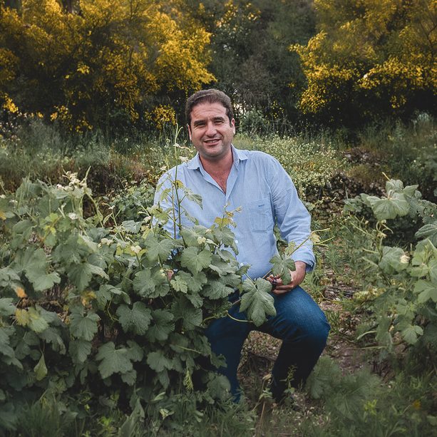 portrait d’alberto orte, vigneron en espagne