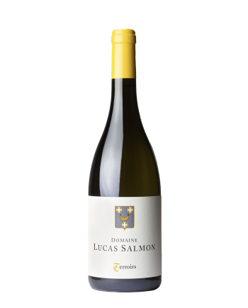 Bouteille de la cuvée Terroir du domaine Lucas Salmon, en appellation Muscadet