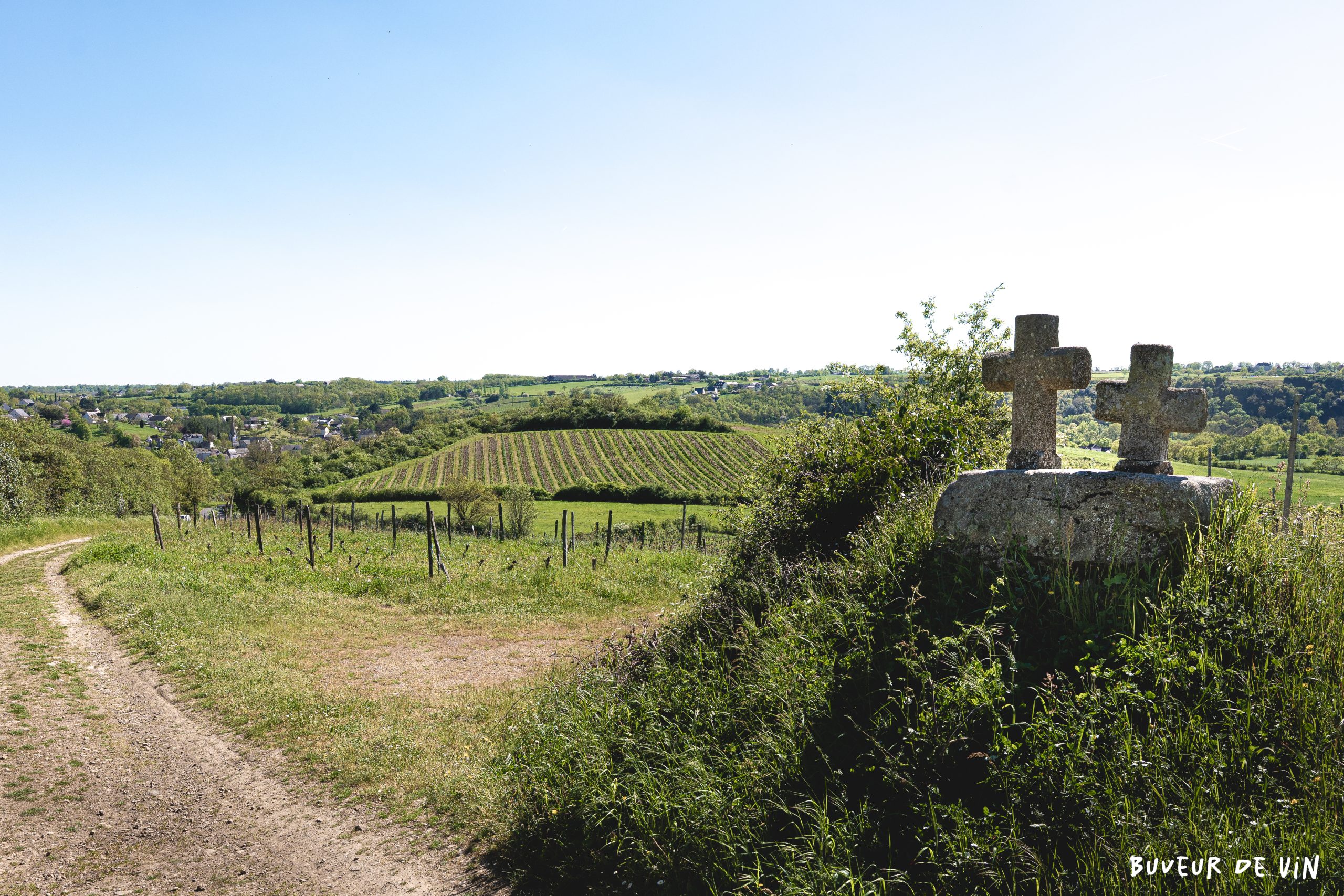 IMG_4346 Domaine payen, vue parcelle, appellation anjou, chenin