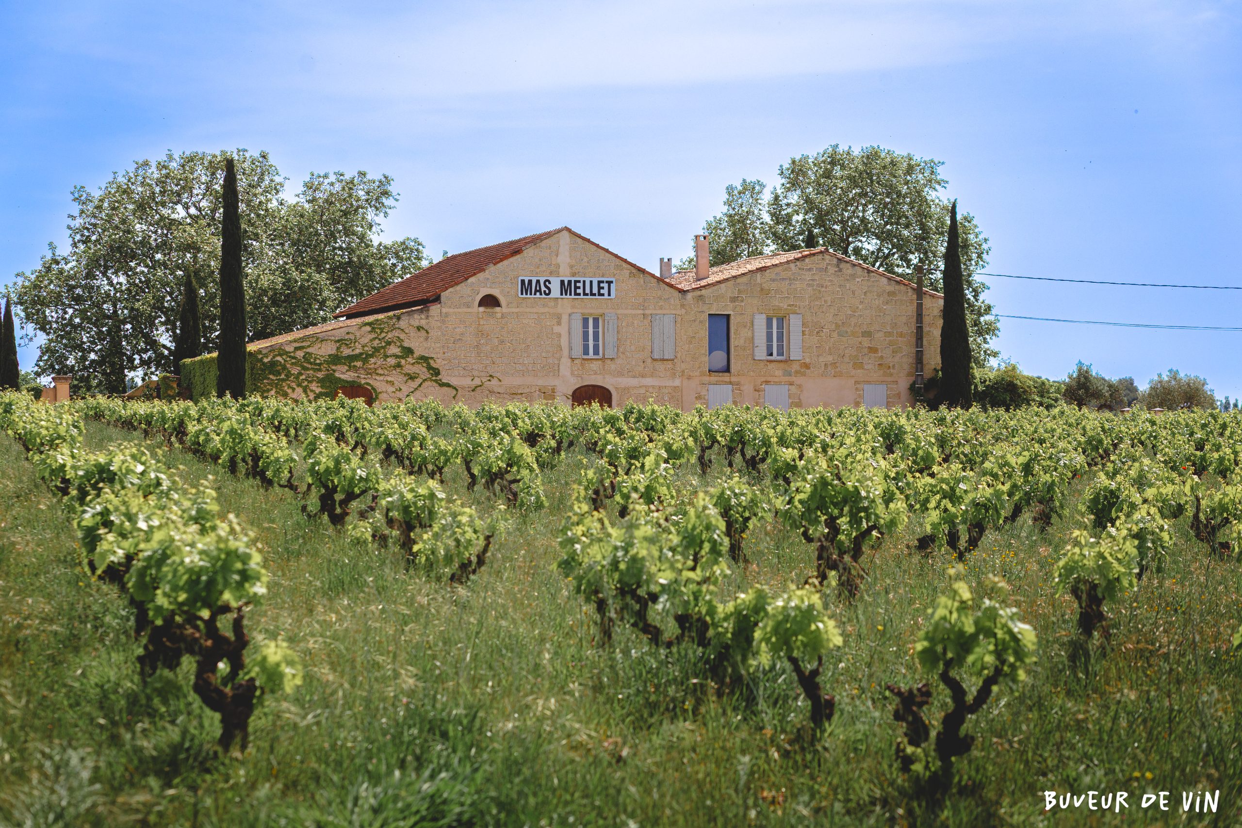 Le mas mellet, domaine viticole en appellation costières de Nîmes dirigé par Brice Bolognini, cuvée Chemin des salines, salines, fleur des salines, a Galician, dans le Gard, en bordure du parc naturel de CAmargue, vin naturel