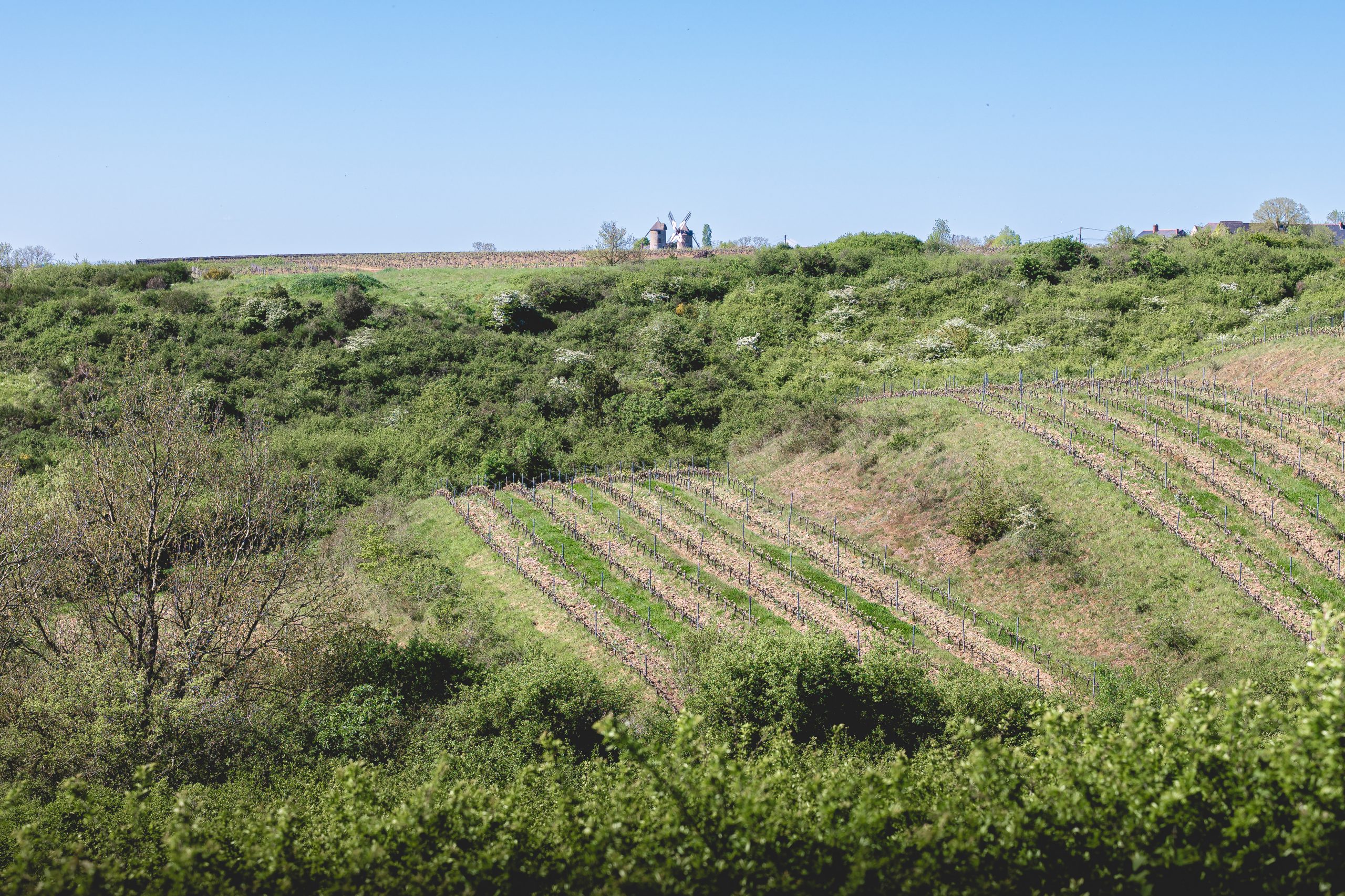 Domaine Payen - Ludovic Payen