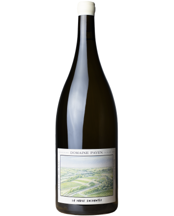 Magnum de la cuvée La Vague Enchantée du domaine Payen du vigneron ludovic paye, appellation ANjou, chenin