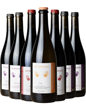 Bouteille de la cuvée Les Gruches, le blanc de claire et florent bejon, vignerons natures sur la commune de Saint Michel sur Loire près de Chinon