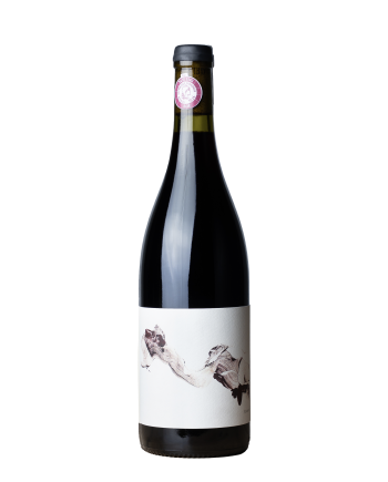 Bouteille de vin de la cuvée Matis du Vigneron Antoine Clavel, Domaine Clavel, en appellation Pic Saint Loup, dans le Languedoc, cepage syrah